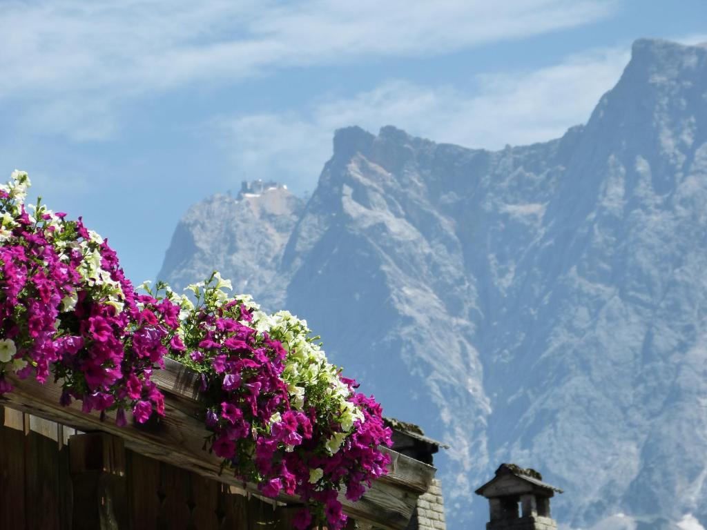 Appartements Alpenland แลร์มอส ภายนอก รูปภาพ